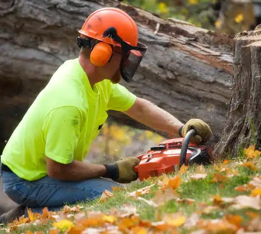 tree services Gem Lake